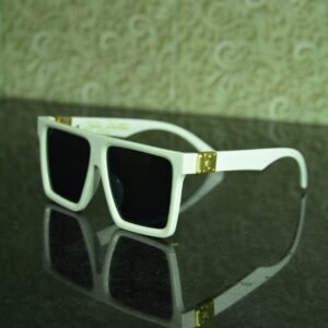 LV Sunglasses 1